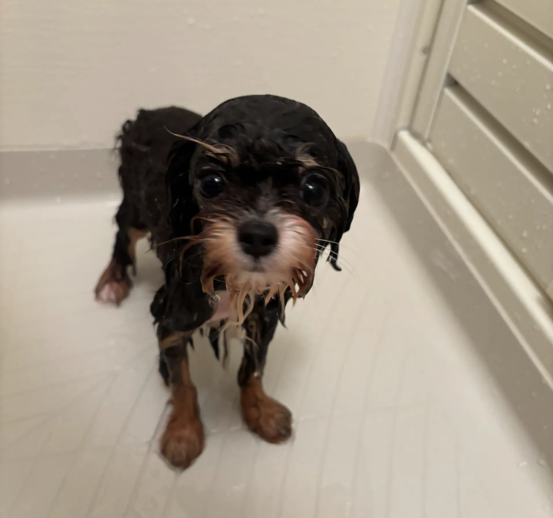 お水をかけててみたよ